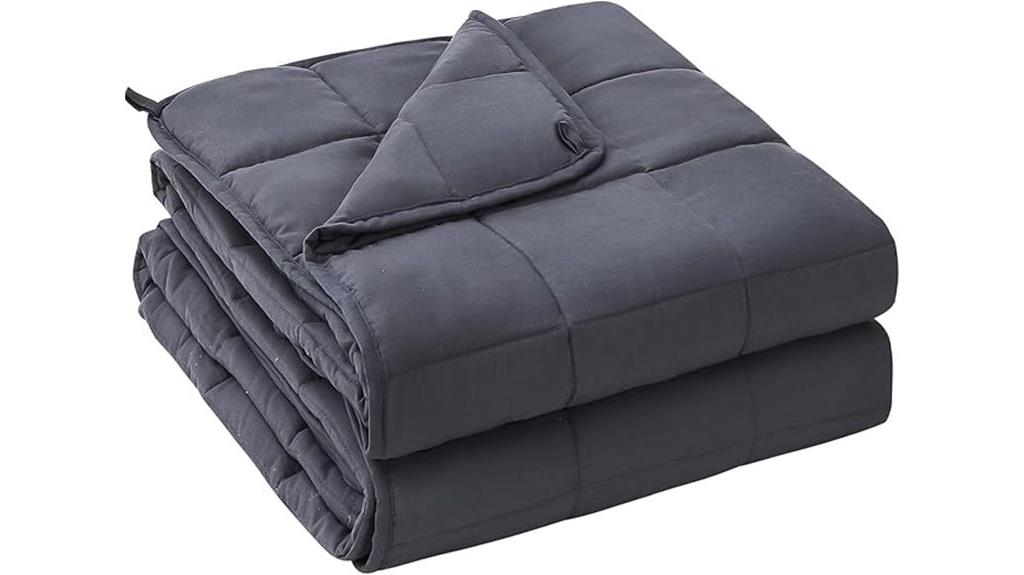 20 lb queen grey blanket