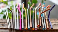eco friendly stainless steel straws