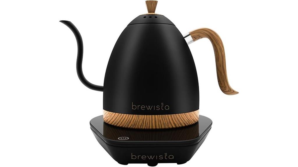 electric gooseneck kettle lcd
