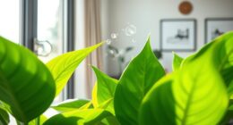 houseplants air purification benefits