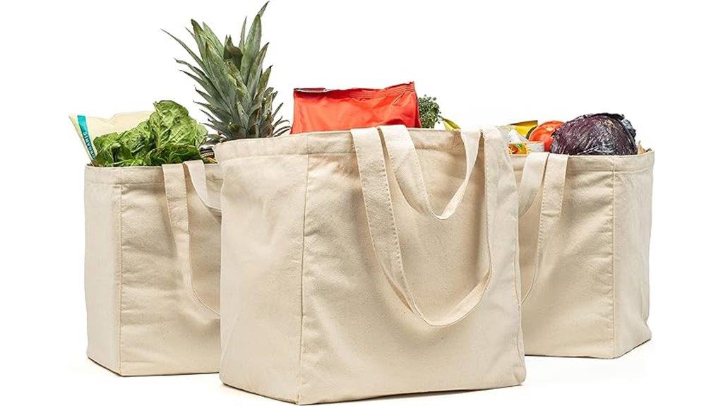 large veramia canvas bags