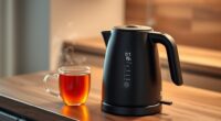 top electric kettles with temp