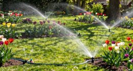 efficient garden watering zones