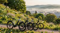 top electric bikes for hills