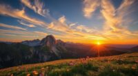 wide angle camera lenses