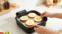 11 Best Dehydrators for Home Use in 2026