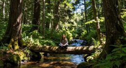 self awareness underpins success