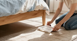 14 Best Bed Bug Traps for Detection and Monitoring in 2027